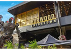 Experienced Traffic Lawyers Burwood For Legal Support