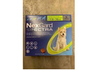 Keep Your Pets Happy and Healthy on a Tight Budget!