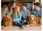 Find Home Cleaning Services in Adelaide with No Hidden Costs
