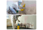 Can Melbourne Mould Removal Protect Your Property?