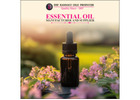 Essential Oil Manufacturer and Supplier