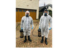 Experience Our Fantastic Pest Control Swindon