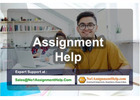 Assignment Help - Get professional services from No1AssignmentHelp.Com