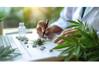 Cannabis Accountant