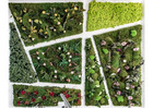 Decoración con jardines verticales