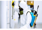 Give Our Local Pest Control Swindon A Call If You Have Any Pest Issues