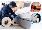 Bed Bug Exterminator Lafayette: Treatment Options