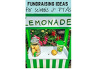 Fundraising Ideas for Elementary Schools | PTA & PTO Programs