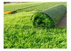 Choose Quality Artificial Turf with the Right Fake Grass Cost Perth