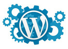 Invoidea is a Best WordPress Development Services in India