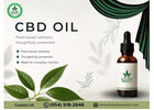 CBD Oil for Everyday Wellness