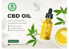 CBD Oil for Everyday Wellness