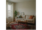 Jansons Carpets Offers Best Persian Rugs in Delhi with Traditional Craftsmanship