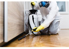 Professional Swindon Pest Control You Can Rely On