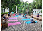 Wellness Retreat In India for Complete Rejuvenation