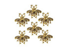 Buy Brass Knobs That Make Plain Furniture Look More Premium – Perilla Home