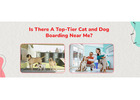 Dog Boarding Services | CGS Hospital