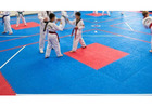 Taekwondo Mats & Equipment | Gravolite
