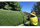 Semms Property Services: Thoughtful Landscape Design for Bowral Homes