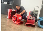 Best Flood Carpet Cleaning Melbourne Services