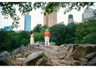 Strengthen Relationships Through Professional Couples Counseling in New York City