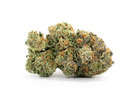 Buy Critical Kush Strain Online in Canada