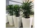 Quality Planters Melbourne for Homes and Gardens