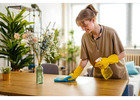 Professional Cleaning Services Carlsbad – Keep Your Space Spotless