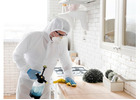 Experienced Pest Controllers in Swindon for Effective Solutions