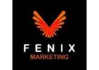 Google AdWords agency Johannesburg by Fenix Marketing