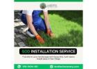 Sod Installation Service in