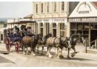 Discover 1850s Life on a Sovereign Hill and Ballarat Tour