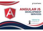 Affordable AngularJS Development Services | Custom Solutions