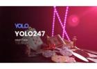 Yolo247 Your Ultimate Hub for Dynamic Entertainment