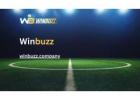 Experience Seamless Gaming with Winbuzz