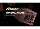 Dive into the Thrills of Online Gaming with Winbuzz