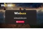 Discover the Winning Edge on the Winbuzz Platform