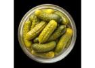 Explore Premium Pickled Gherkin Suppliers in India