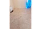 Carpet stain removal service Adelaide