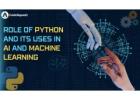 CodeSquadz Python Training: Unlock Your Coding Potential