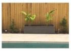 Stylish Concrete Planters for Sale