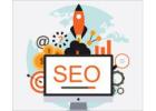 Hire The Best SEO Agency in Delhi For Organic Traffic