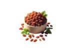 Best Price on Premium Dry Fruits – Fresh & Nutritious!