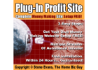 Make A Killing $1 Dollar Funnel System captures leads and collectsCash Payments!