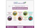 Best Places to Visit in Mahabaleshwar with Family in December