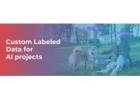 The Role of Custom Labeled Data in Transforming AI Projects