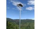 Solar Street Light