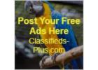 Free Classified Ad Site