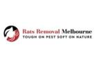 Rat Removal Melbourne