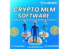 Level Up Your MLM Business with Our All-in-One Crypto MLM software